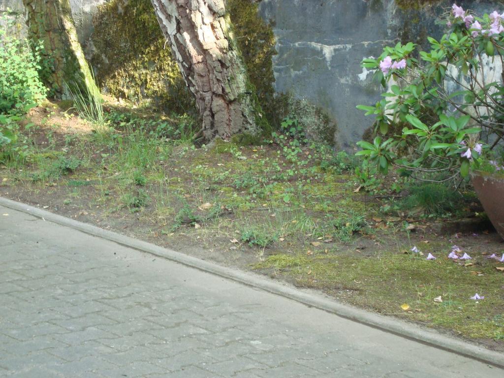Hotel Gartenhof Mühlheim Dış mekan fotoğraf